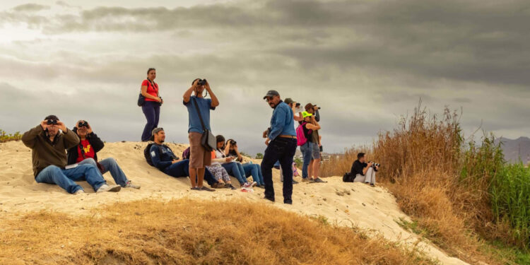 UABCS contribuye al reconocimiento de Los Cabos como “Bird City” 