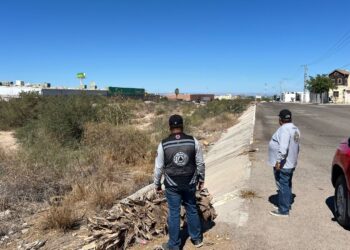 Protección Civil Municipal supervisa arroyos y zonas de riesgo 