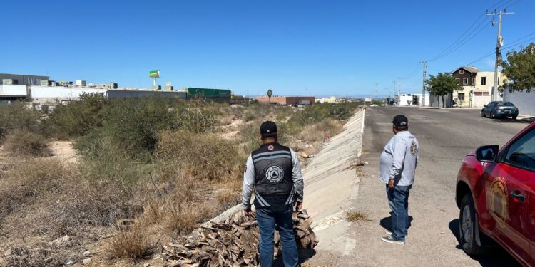 Protección Civil Municipal supervisa arroyos y zonas de riesgo 