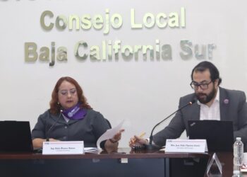 RINDE INE BCS INFORME DE AVANCES SOBRE LAS ELECCIONES DEL PRÓXIMO 1 DE JUNIO.