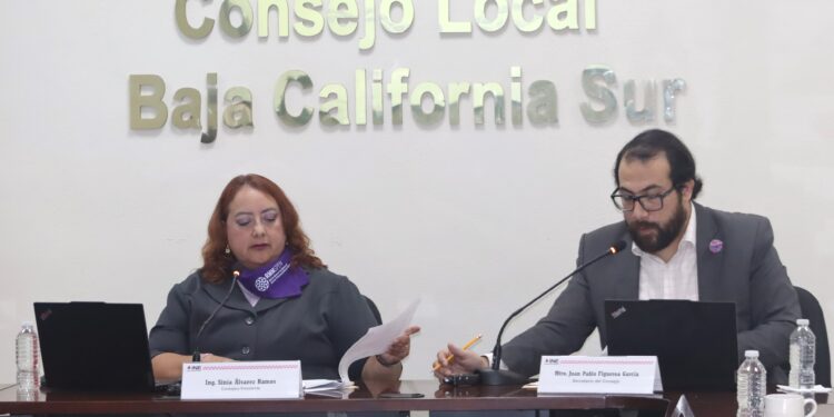 RINDE INE BCS INFORME DE AVANCES SOBRE LAS ELECCIONES DEL PRÓXIMO 1 DE JUNIO.