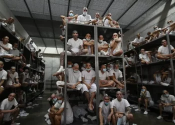 El Salvador se está convirtiendo en la nueva cárcel del mundo: denuncias de violaciones a derechos humanos en el CECOT​