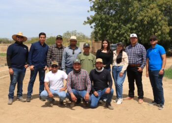 Estudiantes de la UABCS participan en proyecto de investigación sobre hidroponía adaptada al clima sudcaliforniano