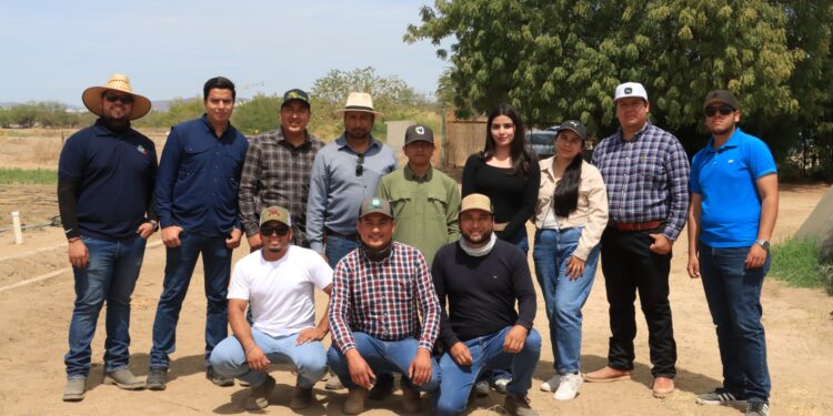 Estudiantes de la UABCS participan en proyecto de investigación sobre hidroponía adaptada al clima sudcaliforniano