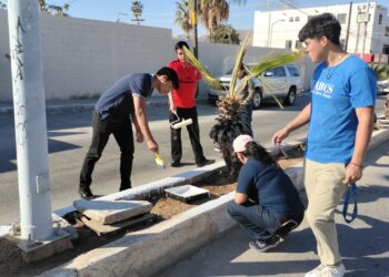 Estudiantes de UABCS Los Cabos adoptan camellón vial para su rehabilitación y cuidado permanente