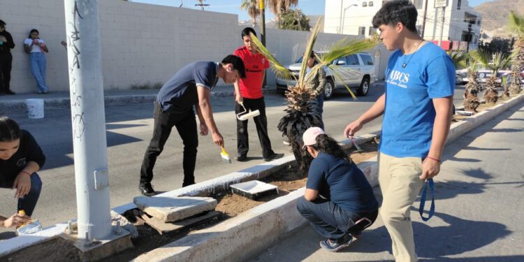 Estudiantes de UABCS Los Cabos adoptan camellón vial para su rehabilitación y cuidado permanente