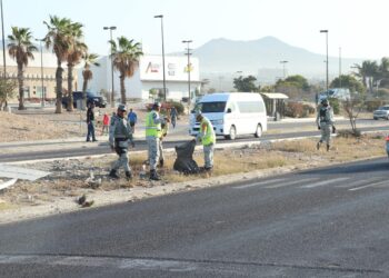 En Cabo San Lucas, recolectan 36 toneladas de residuos en la carretera Transpeninsular 