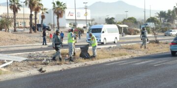 En Cabo San Lucas, recolectan 36 toneladas de residuos en la carretera Transpeninsular 