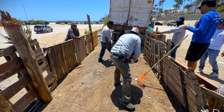  Retiran 21 toneladas de basura de playas 8 Cascadas y El Tule en Cabo San Lucas