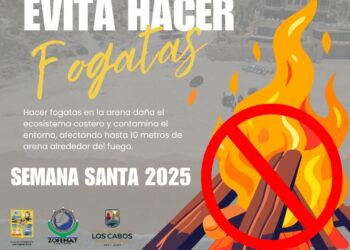 Prohibido realizar fogatas en playas de Los Cabos; afectan ecosistema marino  