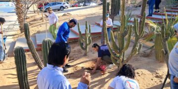 Realizan limpieza general y reforestación en el Cerrito del Timbre de Cabo San Lucas