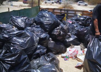 Se recolectaron más de 600 toneladas de basura en playas y colonias de Cabo San Lucas