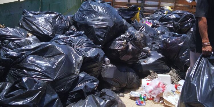 Se recolectaron más de 600 toneladas de basura en playas y colonias de Cabo San Lucas