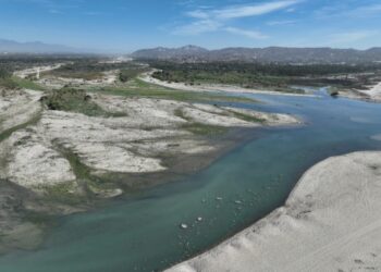 Acuerdan Plan Integral para la Conservación del Estero de San José del Cabo