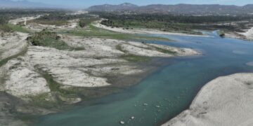 Acuerdan Plan Integral para la Conservación del Estero de San José del Cabo