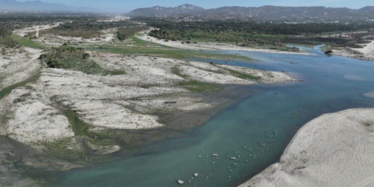Acuerdan Plan Integral para la Conservación del Estero de San José del Cabo