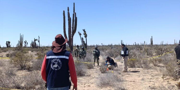 Familiares, colectivos y CEBP, realizan jornada de búsqueda en Mulegé