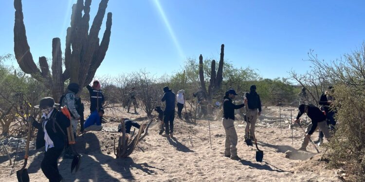 Mantienen trabajos de búsqueda en tramo carretero La Paz – San Juan de la Costa