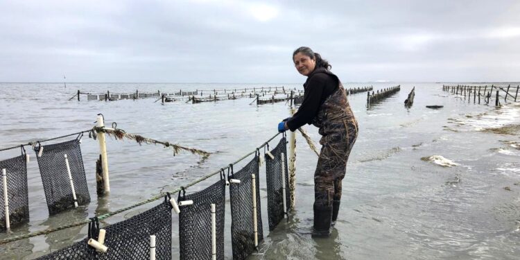 Convoca SEPADA a inscribirse en el seguro de vida pesquero y acuícola