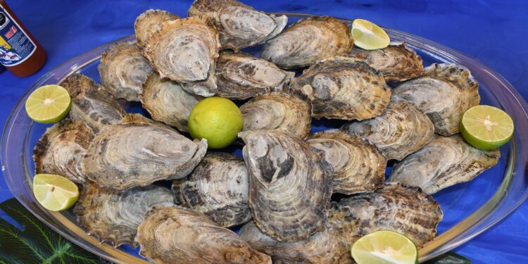 Realizarán el 4.º festival gastronómico del ostión en Santo Domingo, en Comondú