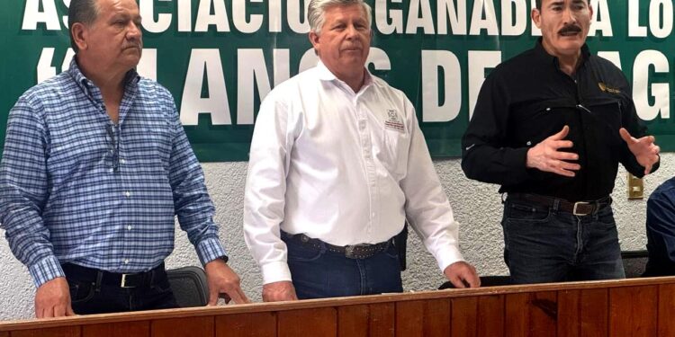 Renuevan la mesa directiva de la Junta Local de Sanidad Vegetal de Comondú y Loreto