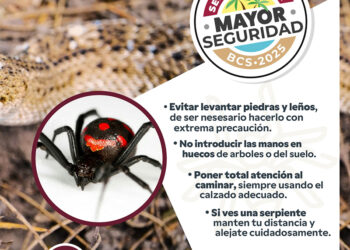 Llaman a seguir comportamientos preventivos para evitar accidentes con animales ponzoñosos