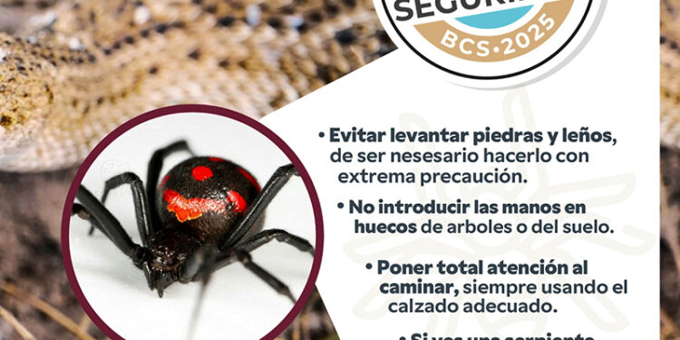Llaman a seguir comportamientos preventivos para evitar accidentes con animales ponzoñosos