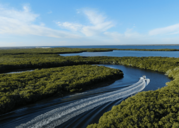Presentan 24 fechas de torneos de pesca para el municipio de Comondú