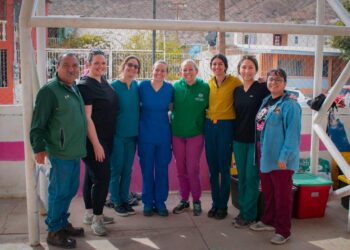 MULEGÉ ALCANZA HISTÓRICA CIFRA DE 1,622 ESTERILIZACIONES DE MASCOTAS EN TRES MESES