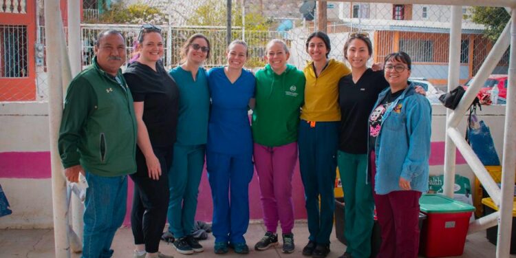 MULEGÉ ALCANZA HISTÓRICA CIFRA DE 1,622 ESTERILIZACIONES DE MASCOTAS EN TRES MESES