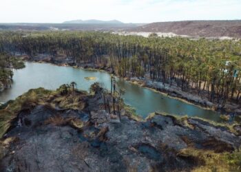 AYUNTAMIENTO DE MULEGÉ COORDINA ESFUERZOS PARA EL CONTROL DE INCENDIOS EN SAN IGNACIO