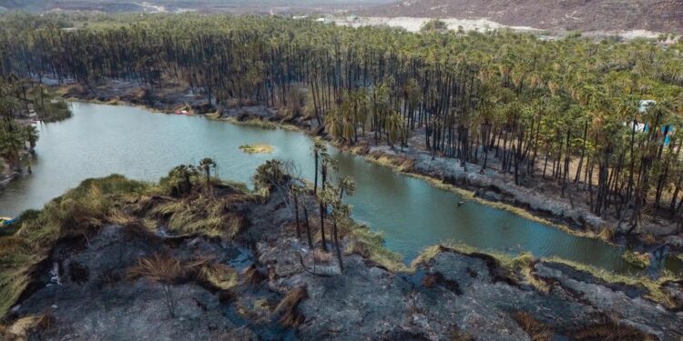 AYUNTAMIENTO DE MULEGÉ COORDINA ESFUERZOS PARA EL CONTROL DE INCENDIOS EN SAN IGNACIO