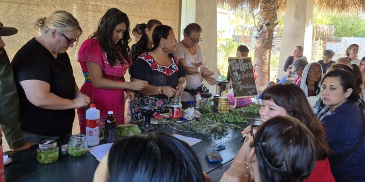 Imparten exitoso taller de medicina tradicional en La Paz