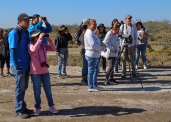 Turismo Municipal de La Paz promueve el aviturismo con curso básico