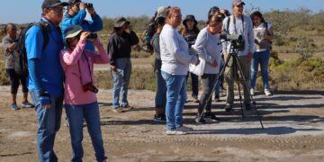 Turismo Municipal de La Paz promueve el aviturismo con curso básico