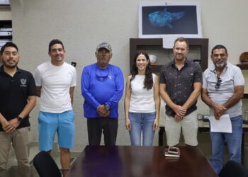 Turismo Municipal de La Paz se reúne con nuevo Comité del Tiburón Ballena