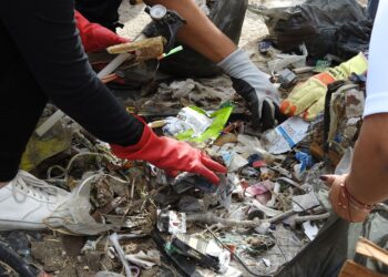 Ayuntamiento de La Paz emite recomendaciones para el cuidado de las playas