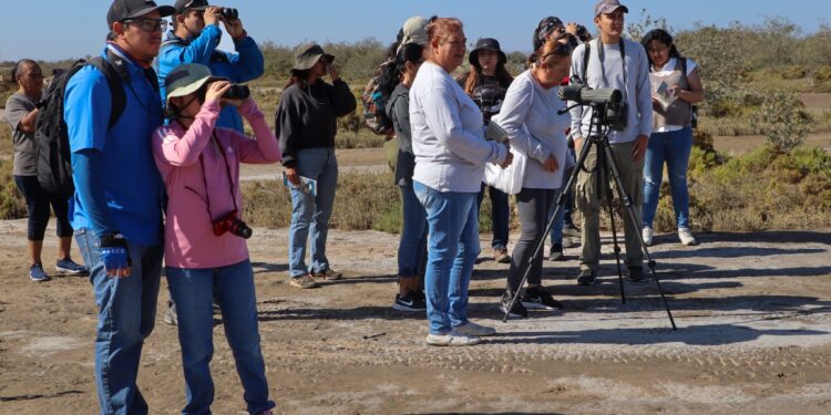 La Paz avanza en turismo de observación de aves con enfoque sostenible