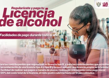 Anuncian facilidades de pago para obtener o regularizar las licencias de alcohol