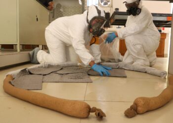 UABCS participa en Simulacro Nacional 2025