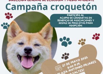 Invita Ayuntamiento de Los Cabos al Croquetón 2025 en apoyo a mascotas en refugio