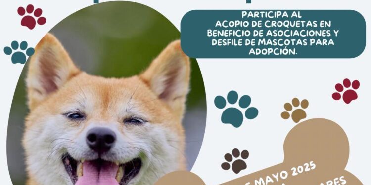 Invita Ayuntamiento de Los Cabos al Croquetón 2025 en apoyo a mascotas en refugio
