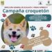 Invita Ayuntamiento de Los Cabos al Croquetón 2025 en apoyo a mascotas en refugio