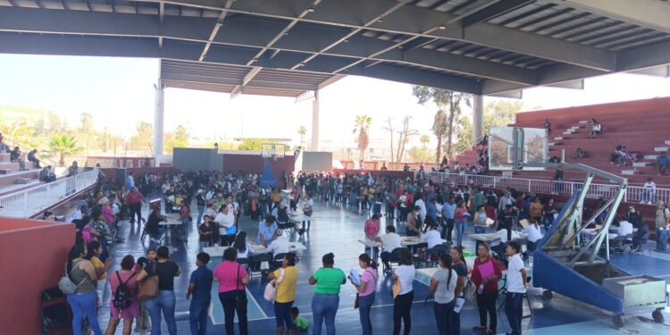 Con entrega de becas, conmemoran Día del Estudiante en Cabo San Lucas