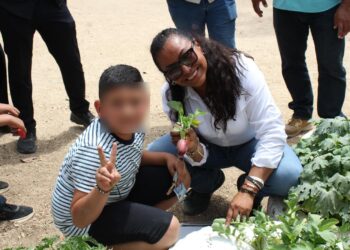 Instalarán planta solar en escuela Miguel Hidalgo en comunidad de El Sauzal