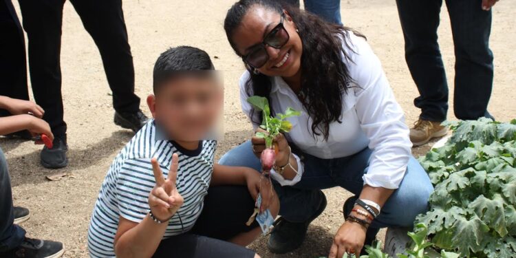 Instalarán planta solar en escuela Miguel Hidalgo en comunidad de El Sauzal