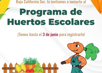 Convoca SEPUIMM al programa de Huertos Escolares 2025–2026