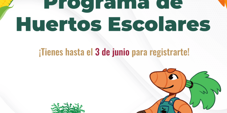 Convoca SEPUIMM al programa de Huertos Escolares 2025–2026