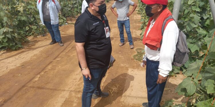 Realiza Secretaría del Trabajo más de 500 inspecciones para erradicar el trabajo infantil