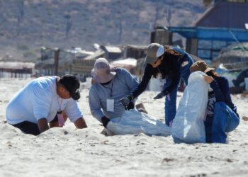 Recolectan más de 27 kilos de residuos en playa El Tecolote